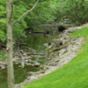 Meet your Posher, Paige